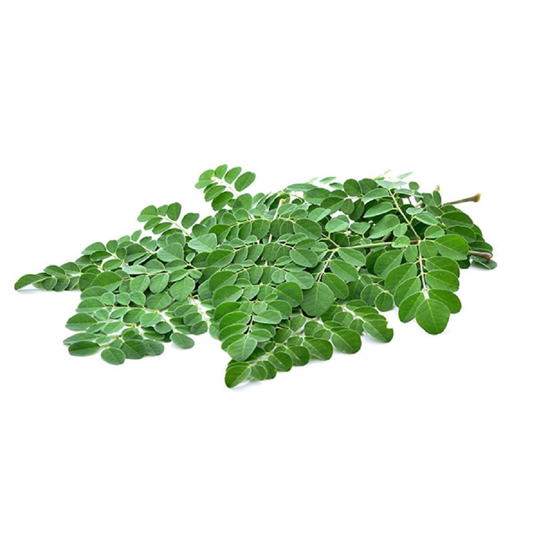 Drumstick Leaves (Moringa Leaves). Size: 1 pack ~100-150g UAE 🇦🇪
